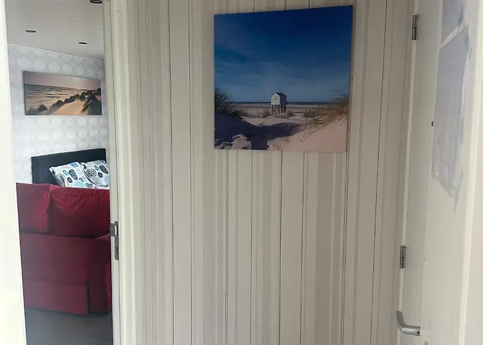 de Zeester